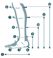 12 points of measurements